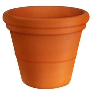 Maceta 3